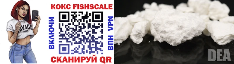 Кокаин FishScale  купить  цена  маркетплейс наркотические препараты  Бородино 