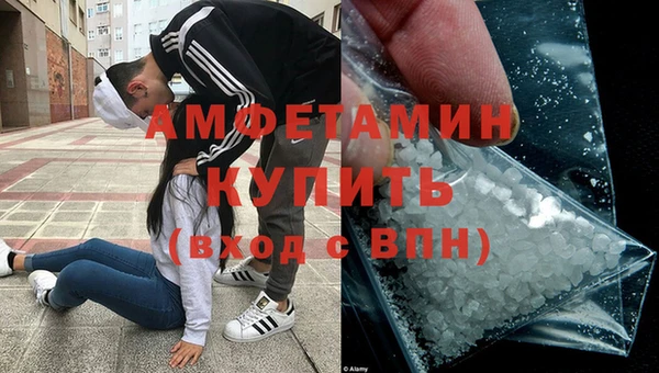 прущие грибы Богородицк