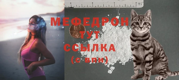 прущие грибы Богородицк