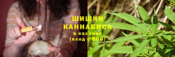 прущие грибы Богданович