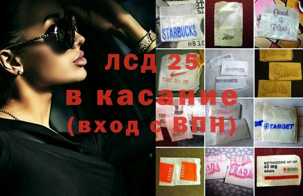прущие грибы Богородицк