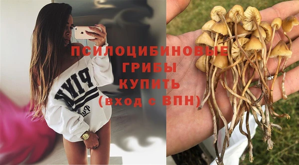 ешки Верея
