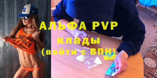 прущие грибы Богданович