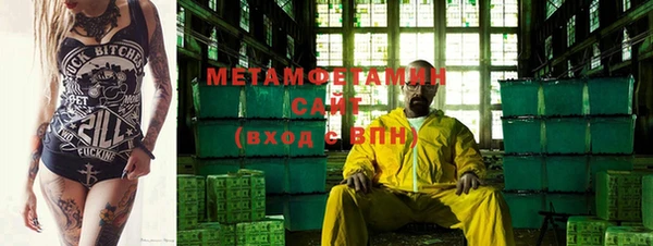 прущие грибы Богданович