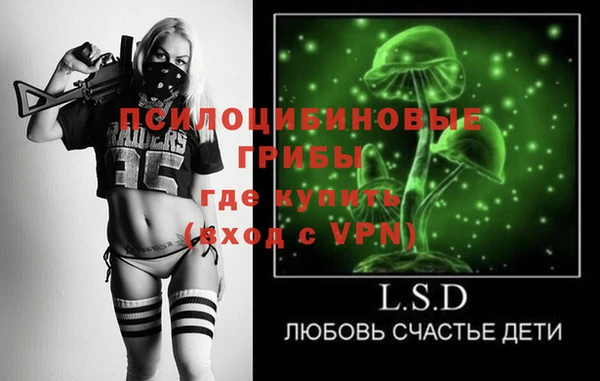 ПСИЛОЦИБИНОВЫЕ ГРИБЫ Беломорск