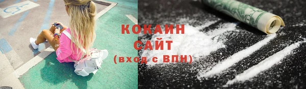 прущие грибы Богданович