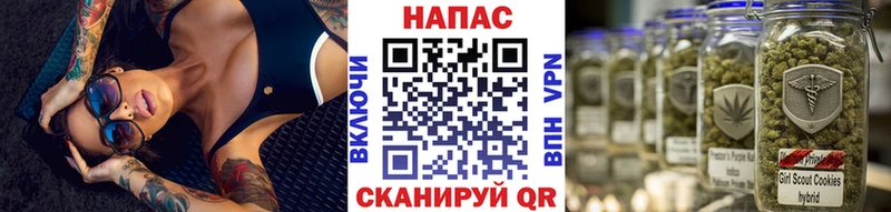 OMG как зайти  как найти наркотики  Бородино  Конопля VHQ 